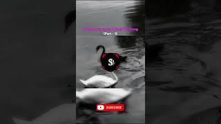 Kaise Huwa (Cover Song) by Sa Mi Music #shorts