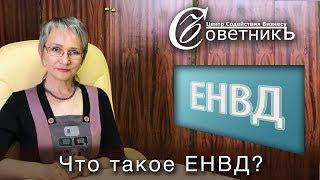 Что такое ЕНВД? Особенности вменёнки