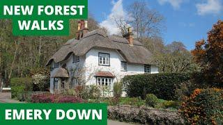 NEW FOREST WALK at EMERY DOWN (CUT WALK) [NEW FOREST NATIONAL PARK]