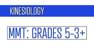 Manual Muscle Testing Grades 5 through 3+