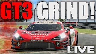 Der LETZTE Stream vor der Simexpo 2024! | Gt3 Interlagos | Noah Eder LIVE