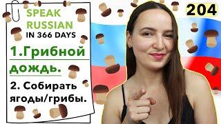 DAY #204 OUT OF 366  | SPEAK RUSSIAN IN 1 YEAR