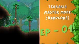 [01] TERRARIA MASTERMODE HARDCORE - CASUAL NO COMMENTARY