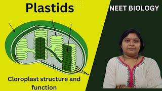 What is Plastid and its function ||CELL: The Unit of life ||