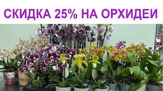  СКИДКА 25% на ОРХИДЕИ и 30% на КОМНАТНЫЕ РАСТЕНИЯ! 25.10.23 Купить орхидею