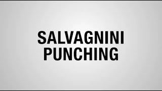 Salvagnini Punching & Shearing |  Estes Design and Manufacturing