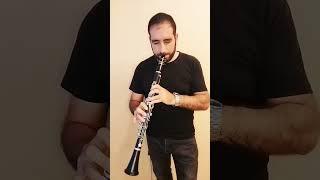 Dalgalar-Mihail Abramyan #хочуврек #хочувтоп #azerbaycan #armenian #clarinet #klarnet