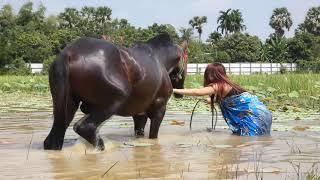 How to teach riding a horse Free Riding Girl Training Her Horse At Country Side #15