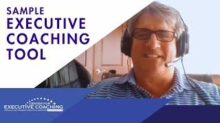 Sample Executive Coaching Tool