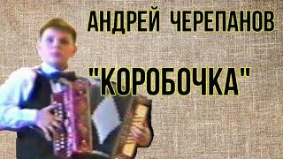 Андрей Черепанов (гармонь) "Коробочка" Новосибирск 2000 г.