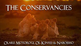 Porini Safari Camps, Kenya: The Conservancies