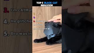Top 5 Best Black Cat Behaviors #cat #catlovers #ranking #usa