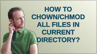 How to chown/chmod all files in current directory?