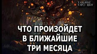 ЧТО ПРОИЗОЙДЕТ В БЛИЖАЙШИЕ ТРИ МЕСЯЦА  расклад таро