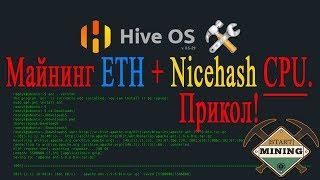 Hive OS 2 0  ETH + Nicehash CPU майнинг. Прикол