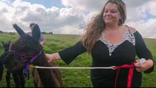 Alpaca Trekking #shorts