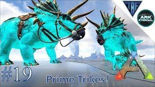 Prime Trike Taming E19 Ark Eternal - Center Map and Ark Eternal - Modded Ark