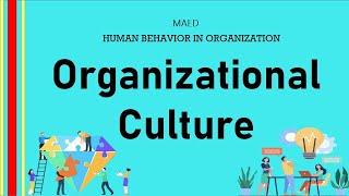 HBO: ORGANIZATIONAL CULTURE