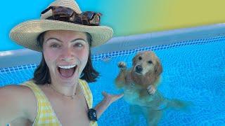 How my dog learned to stand upright in the swimming pool