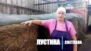 Зачем моим курам СОЛОМА зимой. Как солома создает плодородие земли.