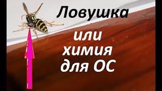 Ловушки и травилки для ос просто и дешево, лучше всякой химии.