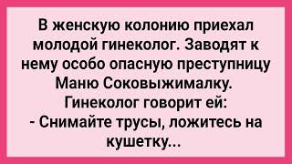 Молодой Гинеколог и Опасная Маня в Женской Колонии! Сборник Свежих Смешных Жизненных Анекдотов!