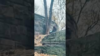 Most HOMELESS PARK in NYC: #shorts #daveracks