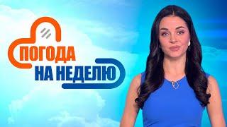 Ожидаются первые заморозки! | Погода в Беларуси с 22 по 28 сентября | Плюс-минус