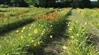 Twin Locust Garden