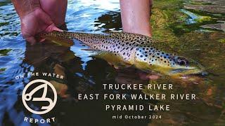 On-the-Water Report | Truckee R - EF Walker R - Pyramid Lake | mid October 2024