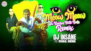 Meow Meow Tu Kaisen Billi Bate Remix || DJ Insane ft. Vishaal Khemai || Witti Visie || BaithakKawina