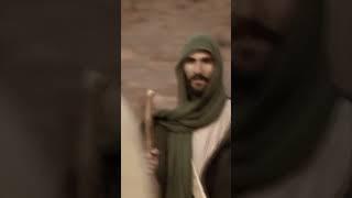 Schweitzer's Apocalyptic Jesus | Dr. Borg #theology #gospel #bible #christianity #biblestudy #jesus