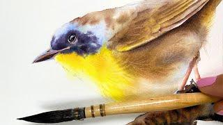 The Secret to Beautiful Watercolor Feathers