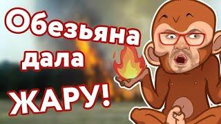 Казино Вулкан НА ДЕНЬГИ / Как играть и выиграть в ОБЕЗЬЯНКИ CRAZY MONKEY / Игровые автоматы онлайн