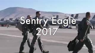 Klamath Basin Sentry Eagle 2017 | Basin Life