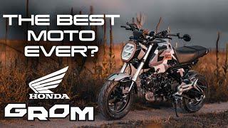 THE BEST MOTORCYCLE EVER MADE? | 10 Years of the Honda Grom...