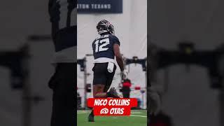 NICO Collins @ OTAs #nfl #nflnews #nflupdates #houstontexans #cjstroud #football #shorts #fyp