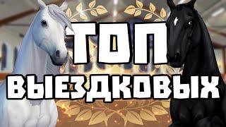 ТОП 10 ВЫЕЗДКОВЫХ ЛОШАДЕЙ В Star Stable