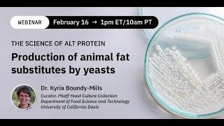 Dr. Kyria Boundy-Mills: Production of animal fat substitutes (and much more!) by yeasts