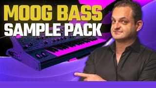 I Created 66 Moog Bass Loops For You!