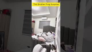 This brother frog surprise went way too far