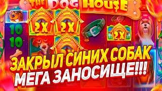 ЗАКРЫЛ СИНИХ СОБАК В THE DOG HOUSE MEGAWAYS! МЕГА ЗАНОС / ЗАНОСЫ НЕДЕЛИ