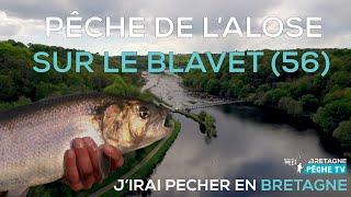 Pêche de l'Alose sur le Blavet (56)