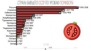 СТРАНЫ БЫВШЕГО СССР ПО УРОЖАЮ ПОМИДОРЫ.СРАВНЕНИЕ СТРАН.СТАТИСТИКА ИНФОГРАФИКА.СТАТИСТИКА СТРАН СНГ