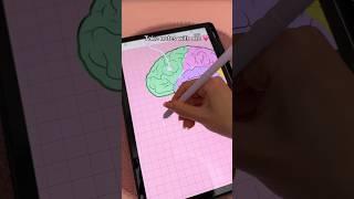 Take notes with me  Digital note taking | Samsung galaxy tab S9 | Penly app ️