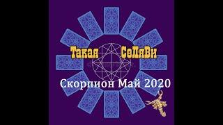 Скорпион. Таро прогноз. Май 2020.