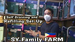 Discus Fish Factory"Hassle free farming"SY Family Farm sa Qc