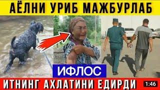 ДАХШАТ! ЕРИМ МЕНИ ИТГА*** КИЛДИРИБ АХЛАТИНИ ЙЕДИРДИ... ШОК ВИДЕО