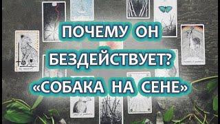 РАСКЛАД ТАРО  ПОЧЕМУ НЕТ ДЕЙСТВИЙ ОТ МУЖЧИНЫ? ЧЕГО ХОЧЕТ НА САМОМ ДЕЛЕ?