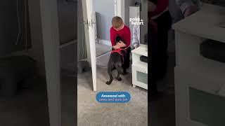 He asked for a best friend and got one with paws